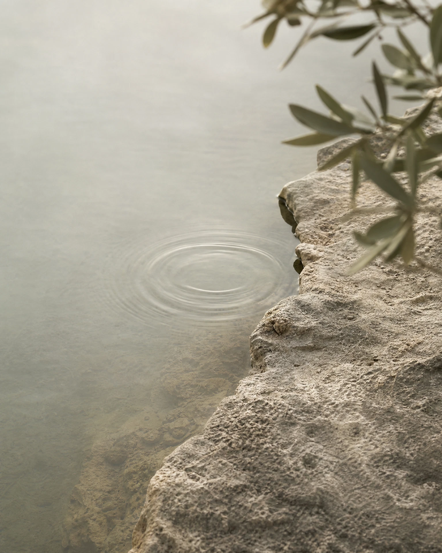 A quiet waterline beside weathered limestone, with a soft ripple widening near the shore.
