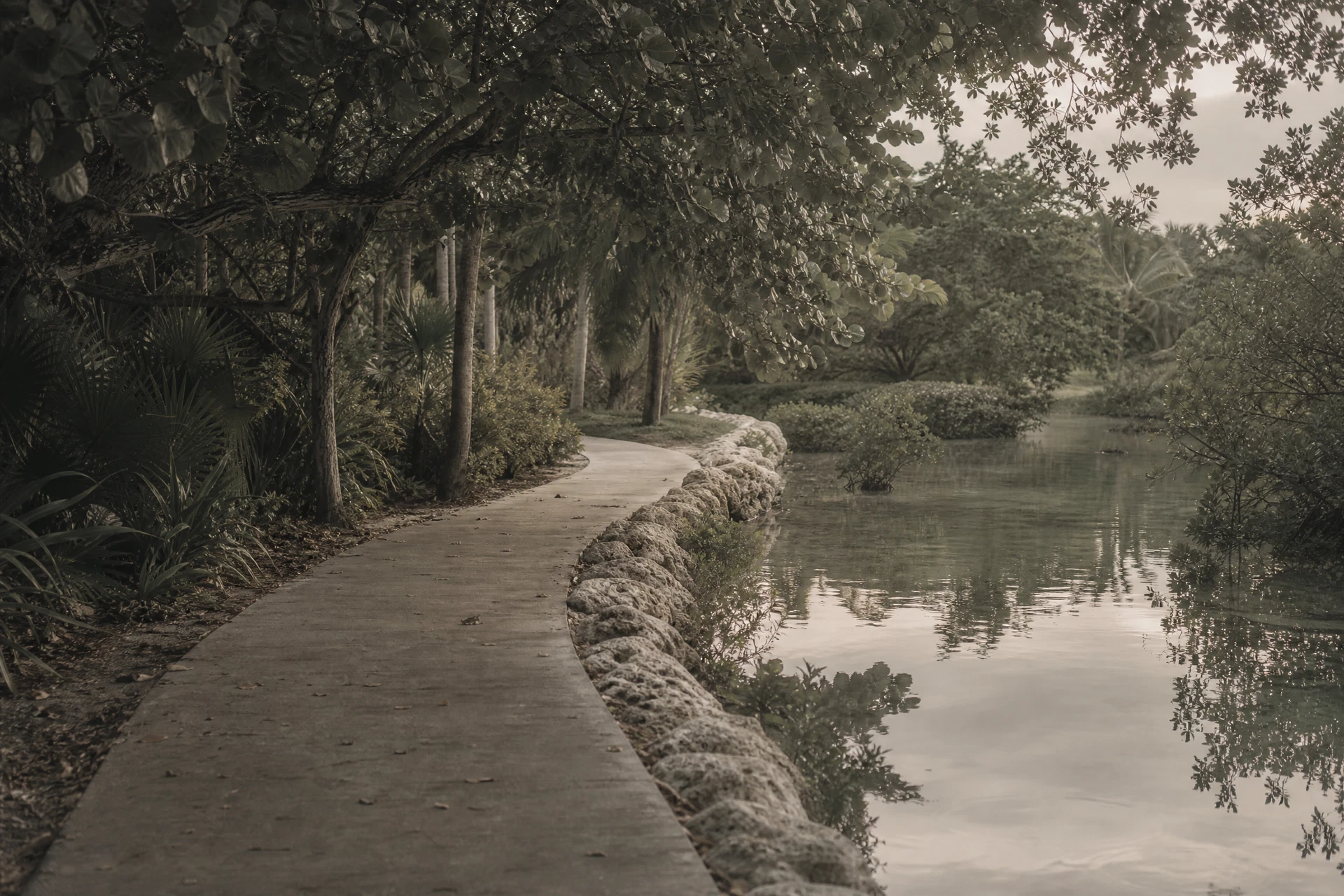 Curving path beside reflective water under a shaded tropical canopy.