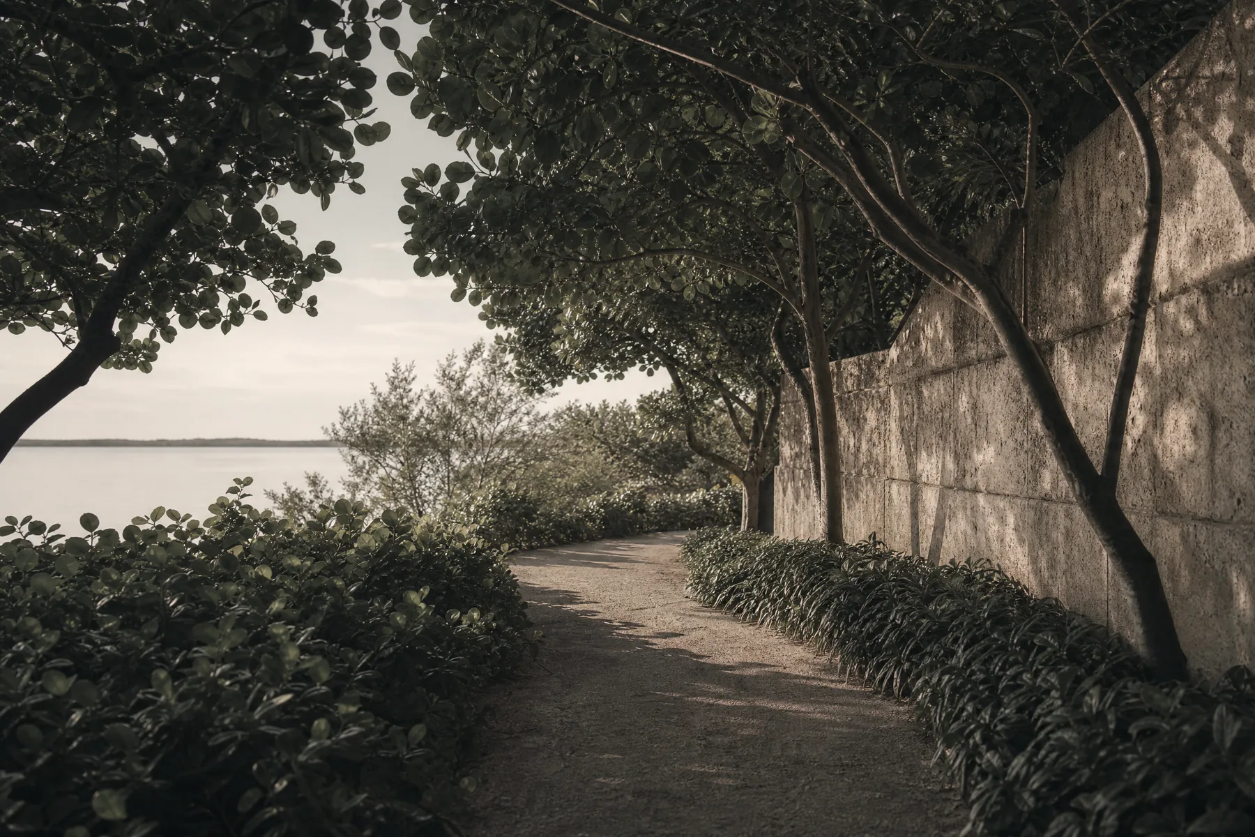 A shaded tropical path beside a pale limestone wall and still water.