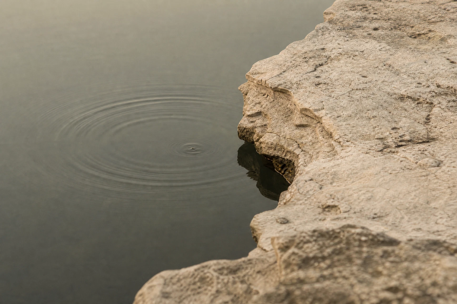 A pale limestone shelf meets still sage-gray water, with a small circular ripple widening across the surface.