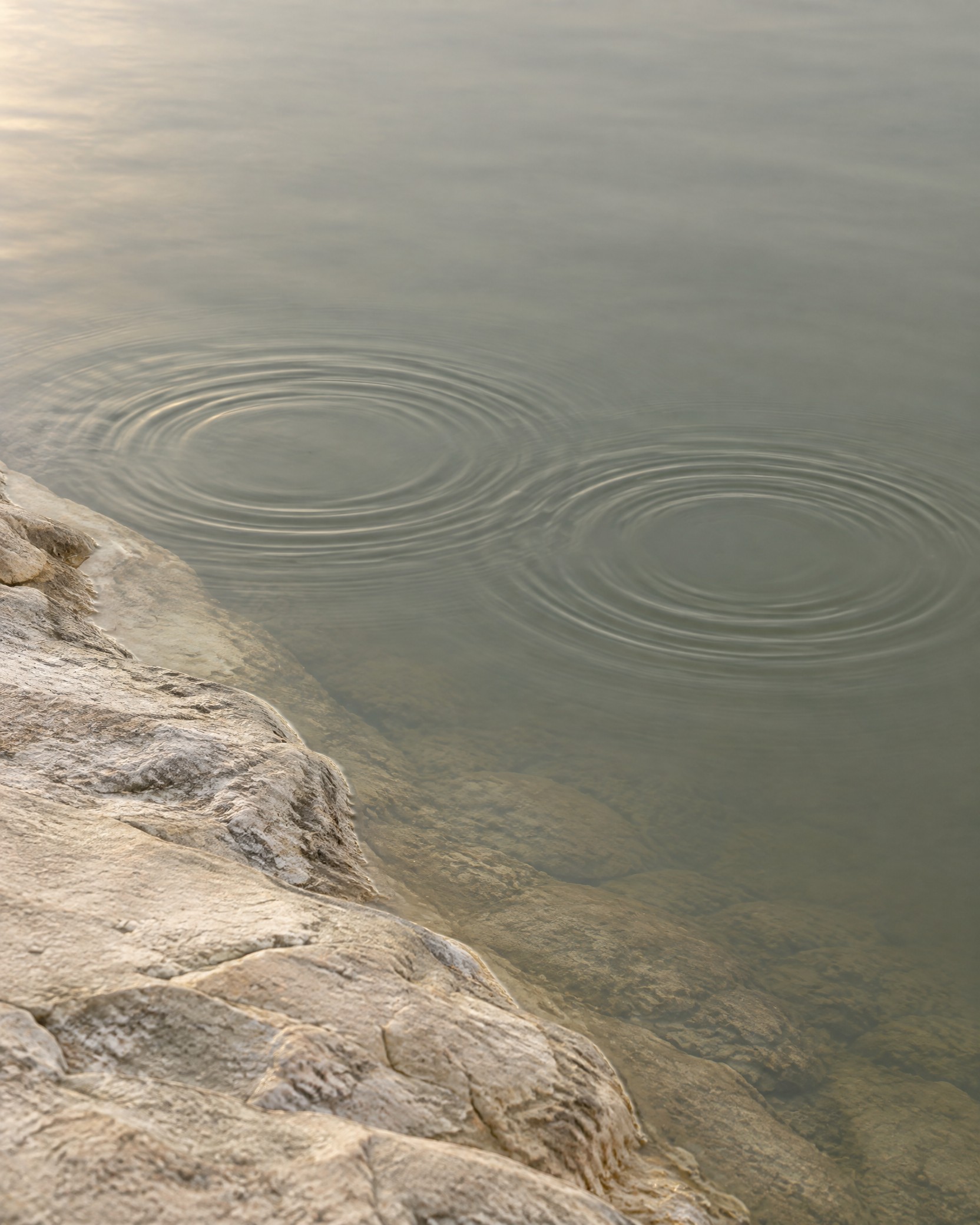Two overlapping ripples moving across muted water beside a pale limestone shore.