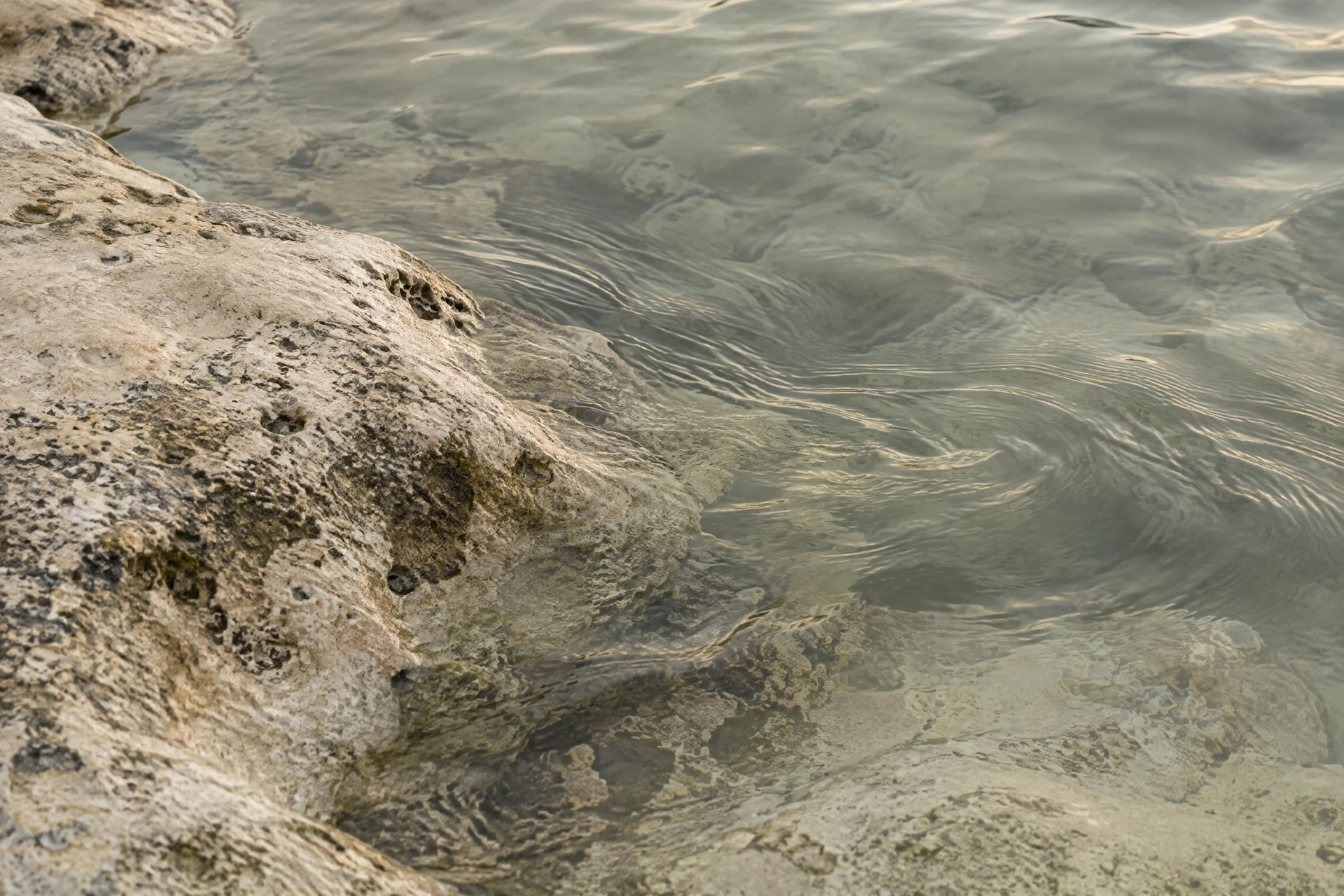 Shallow sage-gray water moving across pale limestone, with a quiet current visible beneath the surface.